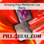 Ginseng For Reinforcing Kidney 38